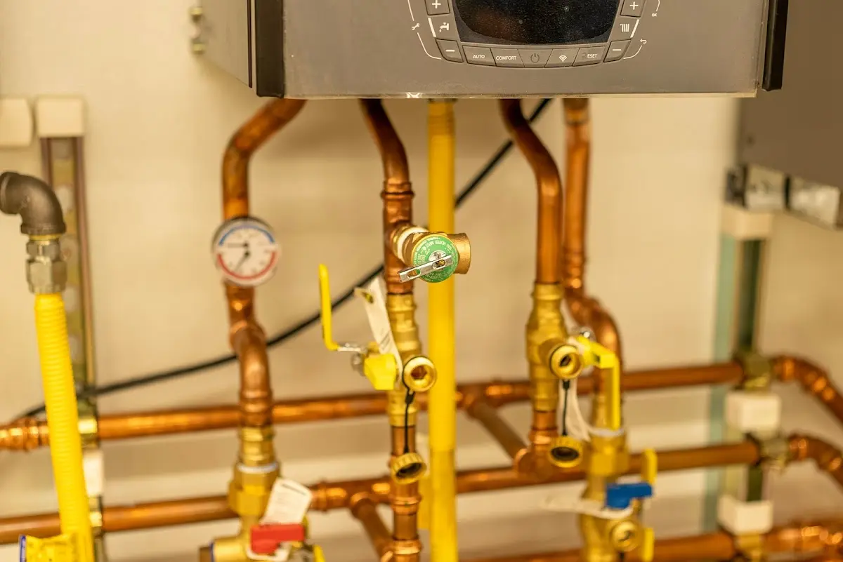 Licensed technician providing Sewer Cleanout for a homeowner in Tolono